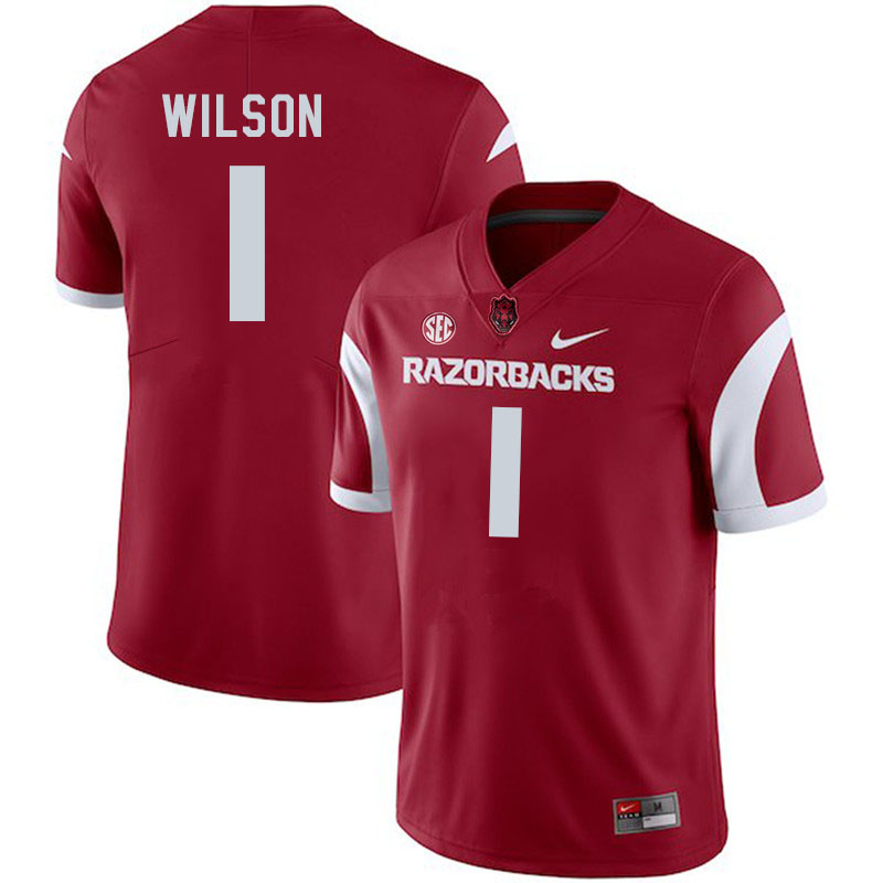 Men #1 Jaedon Wilson Arkansas Razorbacks College Football Jerseys Stitched-Cardinal